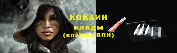крисы Арсеньев