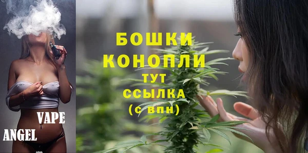 гидра Рославль